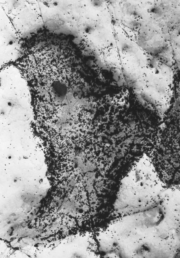 Cédric Ballarati - Invasion Normandie