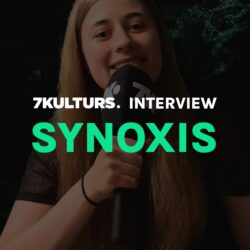 Miniature Interview Synoxis