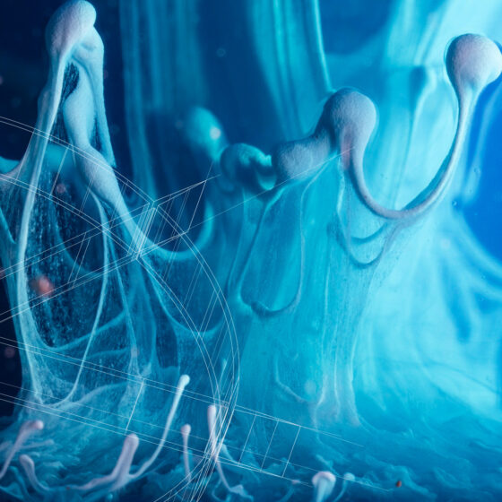 Constrict présente “Unfolding”, sa première compilation mettant à l’honneur la scène bass bruxelloise